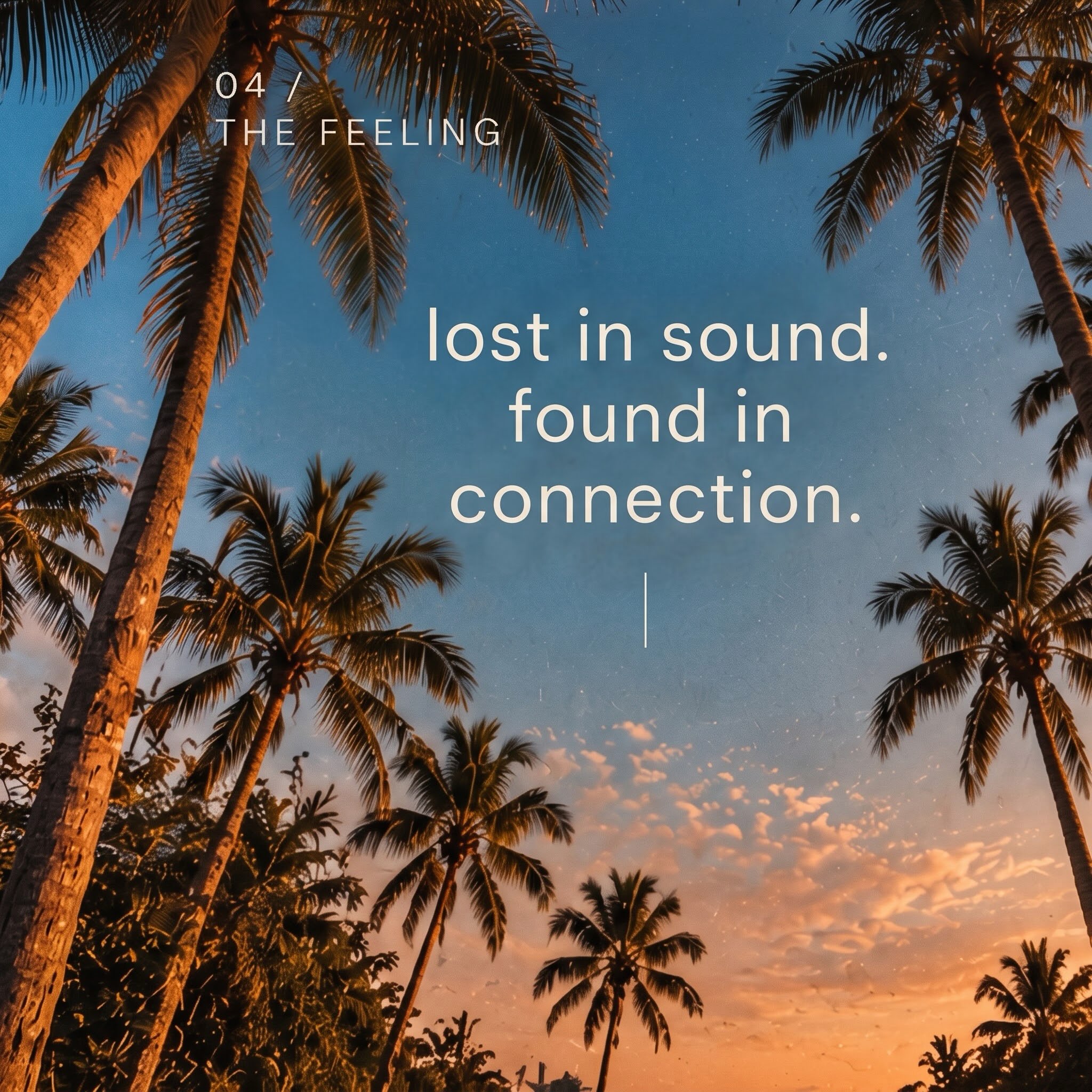 Palm trees beneath a cinematic sunset sky
